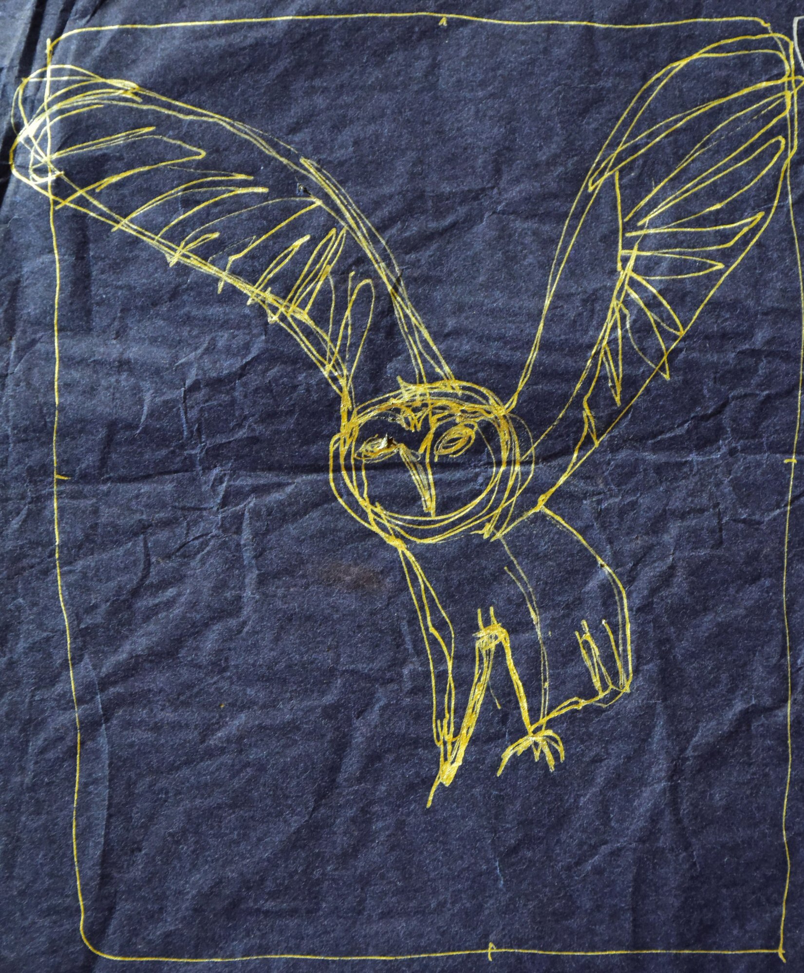 Barn Owl 1