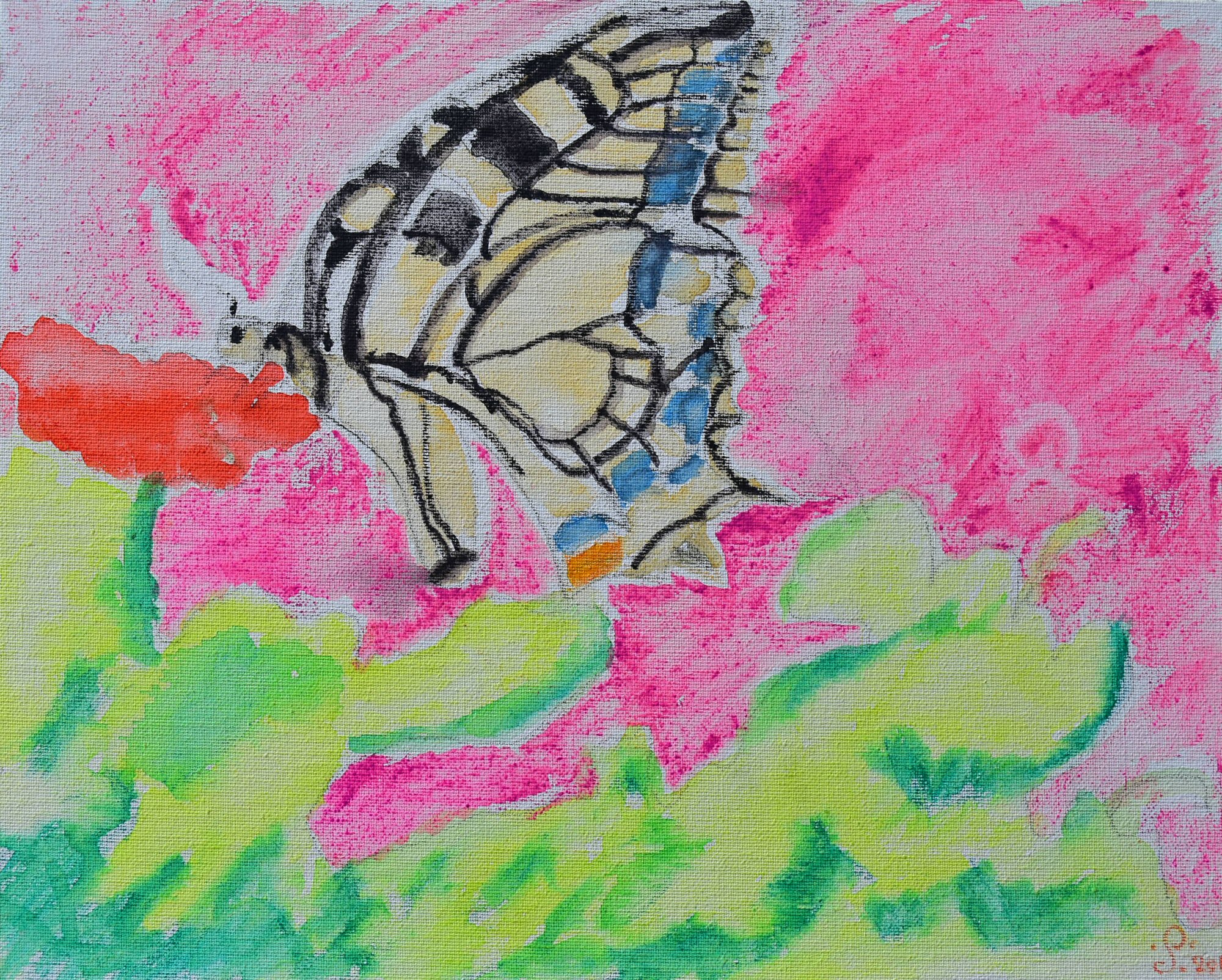 Butterfly