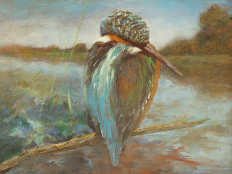 Kingfisher