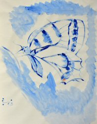 Delfts Blue Butterfly