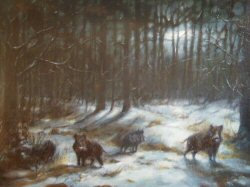 Moonlit Wild Boars