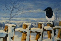 Magpie in the Snow