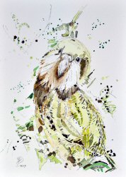 Kakapo